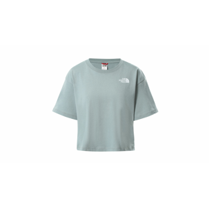 The North Face W Cropped Sd Tee-L šedé NF0A4SYC0LK-L