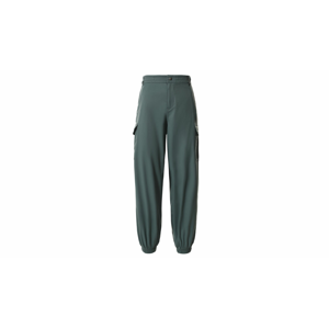 The North Face W Karksh Cargo Pant-10 zelené NF0A531VHBS-10